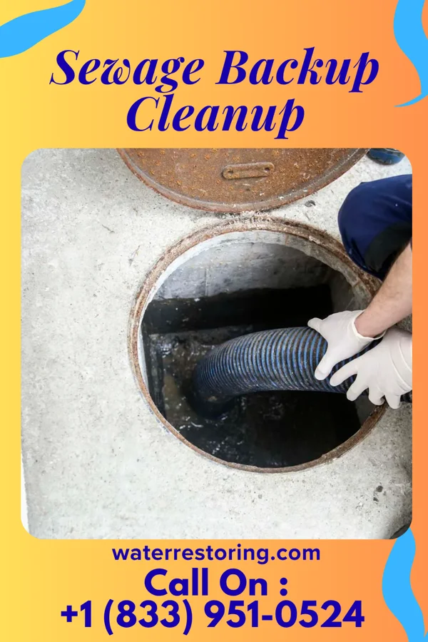 Sewage Backup Cleanup in Huey, IL