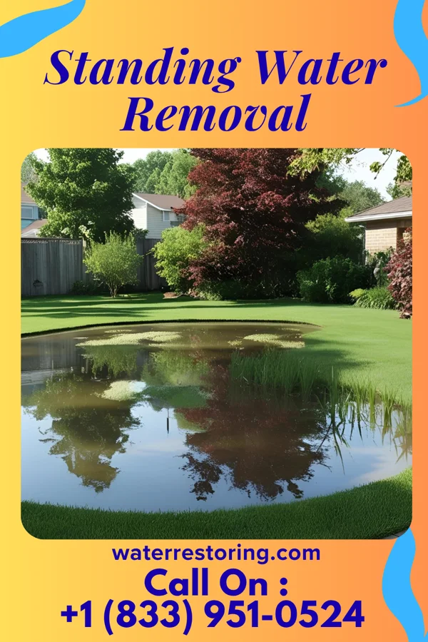 Standing Water Removal in Huey, IL